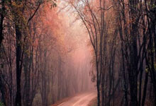 《天涯社区客户端崩了怎么办？亲测解决方法告诉你！》