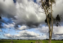 煮酒论史天涯论坛：那些年，我们没聊完的历史话题！