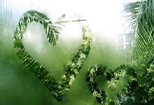 武汉装修热门论坛天涯，装修难题一网打尽！