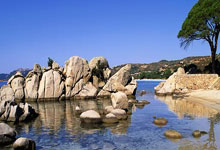 加入海角天涯社区在线，一起聊天分享趣事